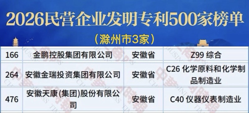 我市3家民营企业入选2026民营企业发明专利500家榜单